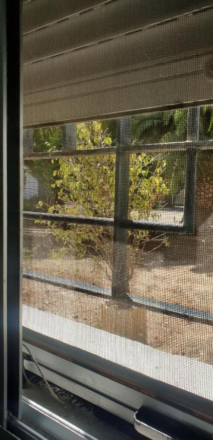Habitacion En Casa De Familia "Valenciabonita" エクステリア 写真